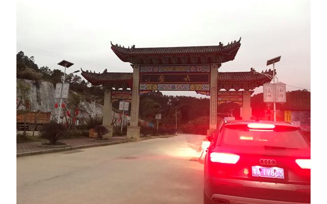 寻茶百树,六堡茶千种茶中必有适合你的茶