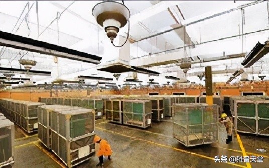 螺旋锥蝇事件,螺旋锥蝇省考题目