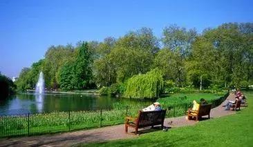 园林植物观赏与应用,园林草坪与地被植物