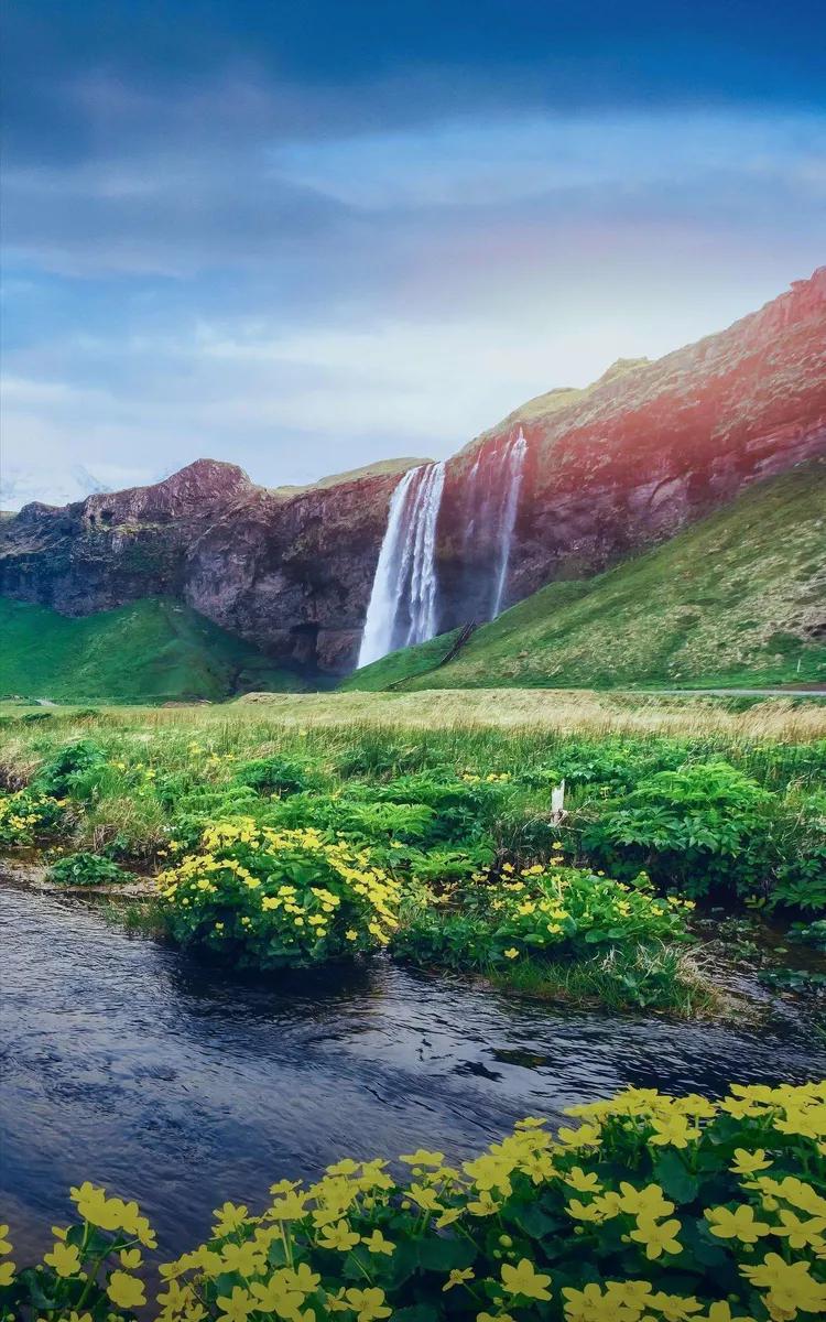 咏柳智永千字文,咏柳书法千字文