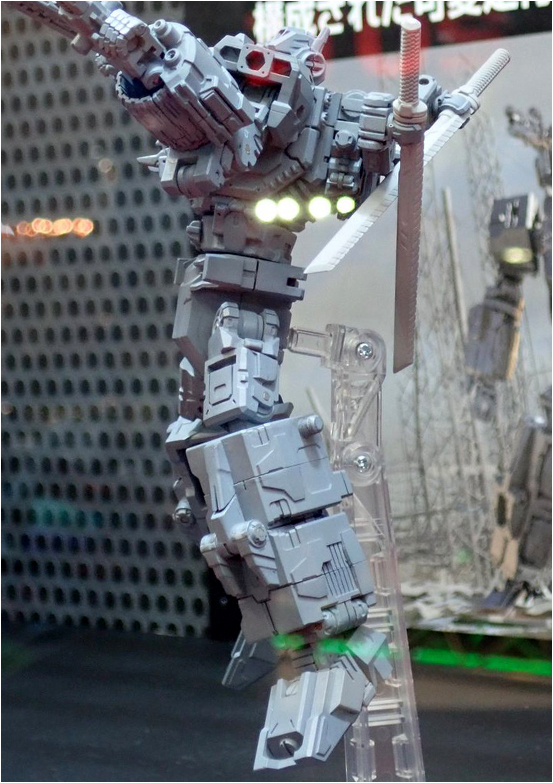 五字头耗子的2019年5月见闻录