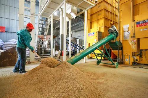 种子怎么保存营养,种子如何存放不会长虫