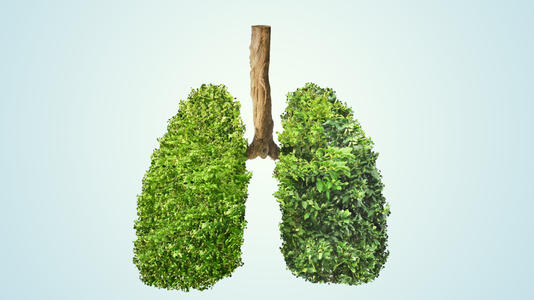 咳嗽有白痰怎么养肺最有效,肺水肿咳嗽健康指导