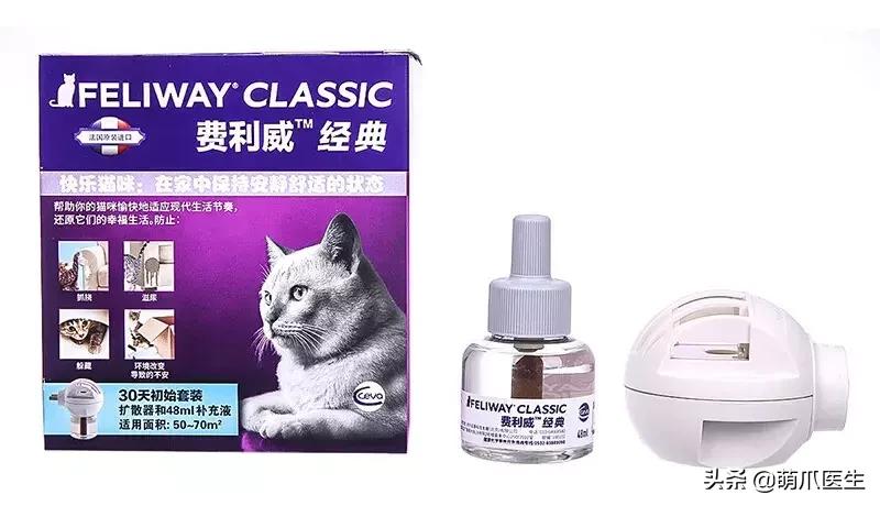 你的猫可能正在抑郁的深渊中挣扎,你家的猫会抑郁症吗