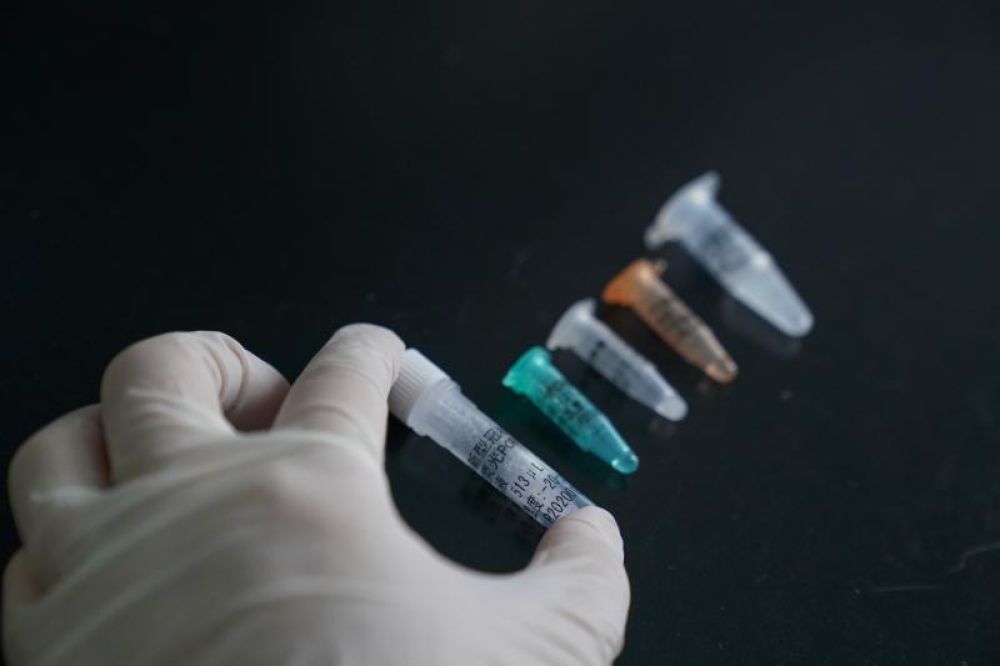 上海疫情抗疫新路线是什么,上海防疫军队支援最新消息