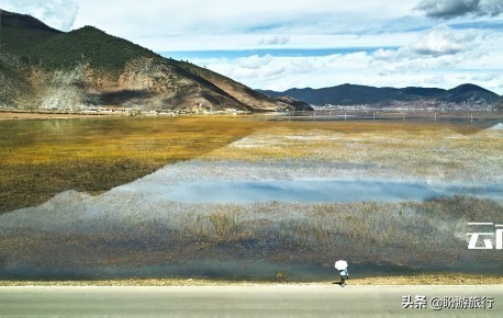 散步关西の日本深度自由行大阪都门奈良城崎、白滨温泉(上篇)