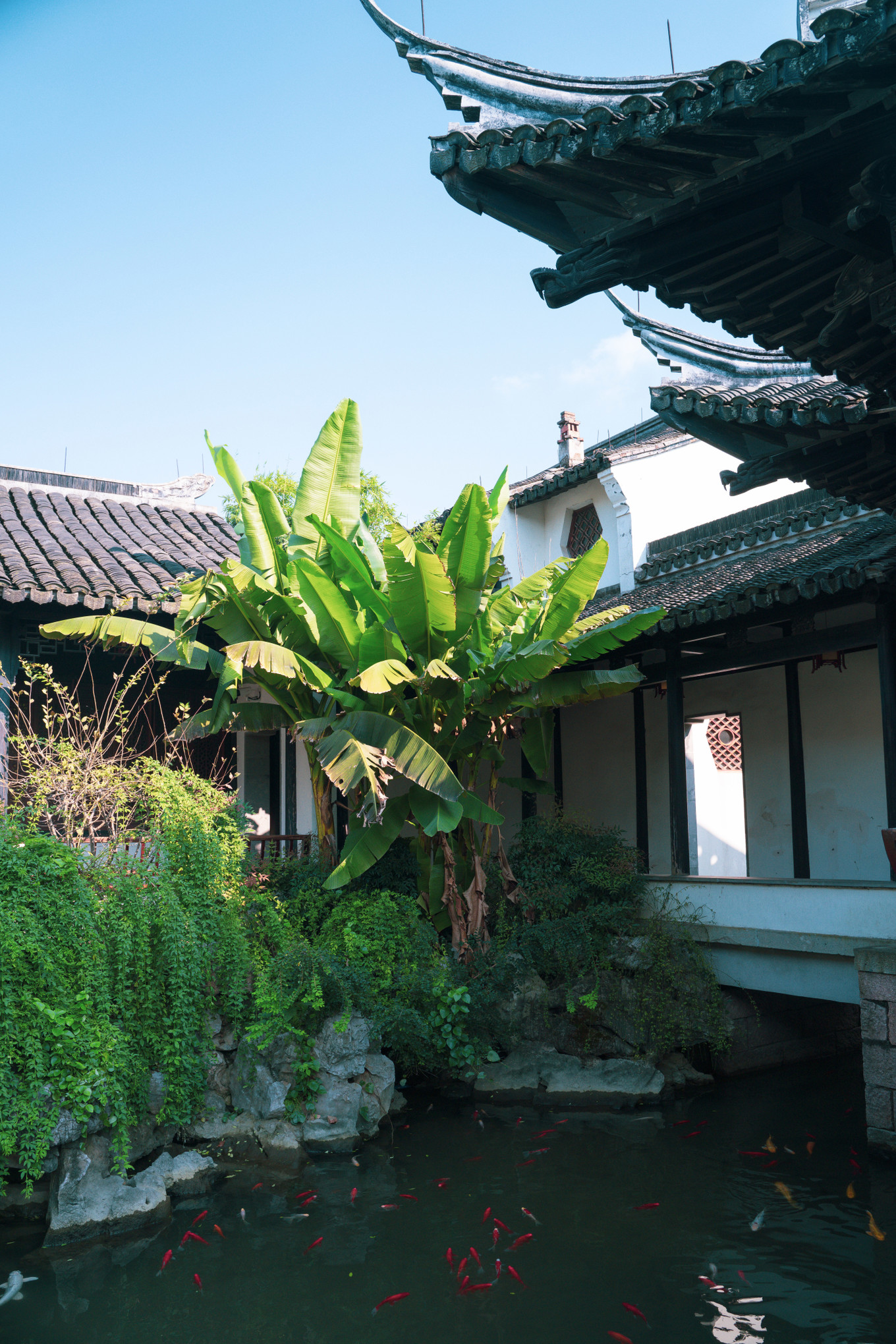 不仅仅是皮革,海清潮静——海宁