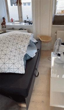 如何让猫咪不怕热,家里没空调猫该怎么办