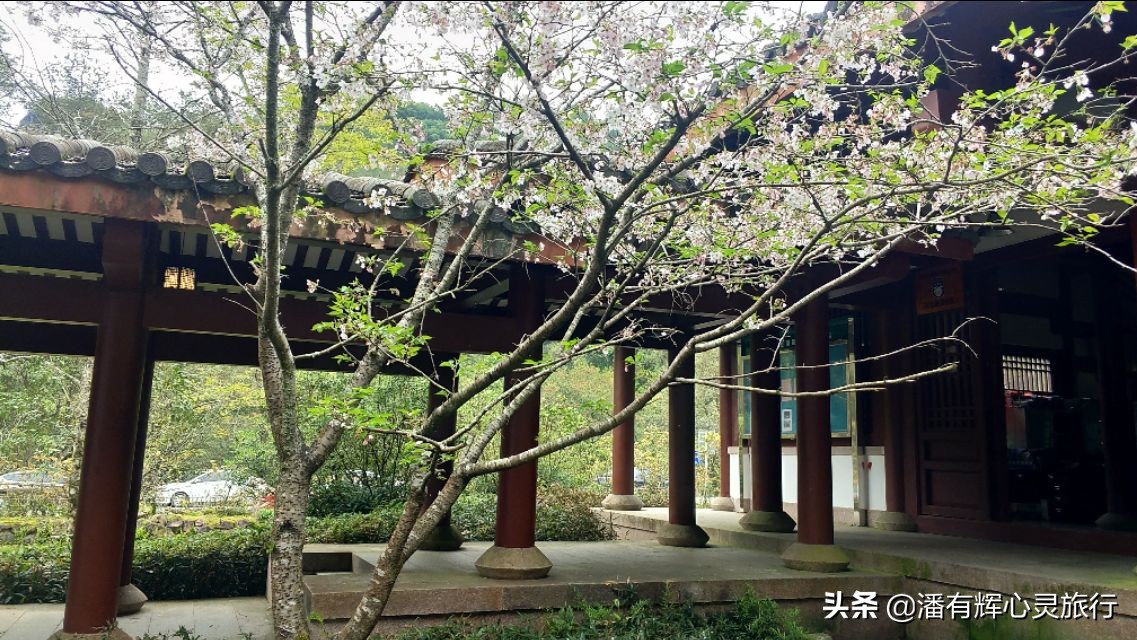 徒步第76天，做主播到现在有些粉丝不喜欢给我刷网上的礼物