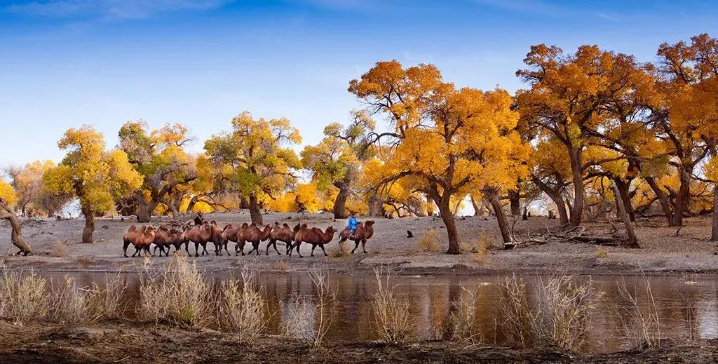 万里黄沙，波涛如怒，谁建起这条横贯中国的壮阔公路？