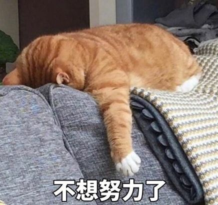 久坐伤肾有道理吗,久坐伤肾可以治好吗