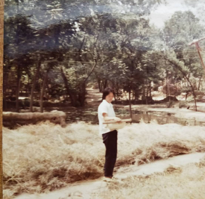 老家的水塘不如以前了,老家的水塘