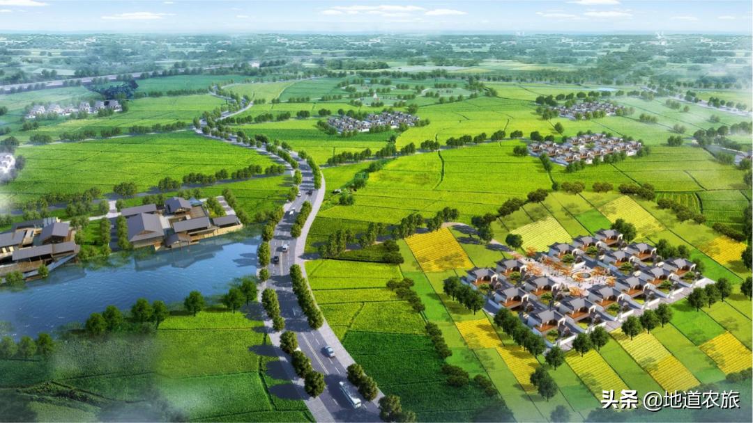 回农村搞农业真的赚钱吗,返乡搞农业你挣到钱了吗