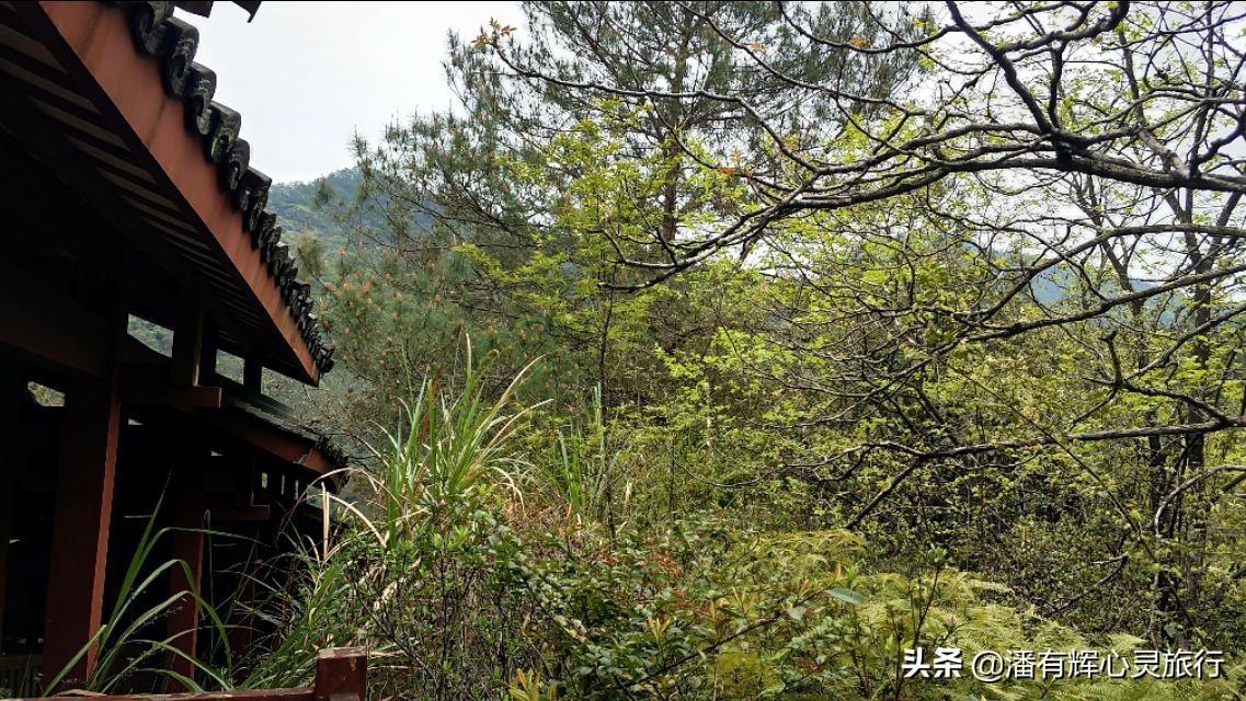 徒步第76天，做主播到现在有些粉丝不喜欢给我刷网上的礼物