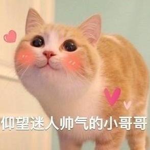 荒野乱斗英雄贝亚攻略,贝亚小蜜蜂实战教学