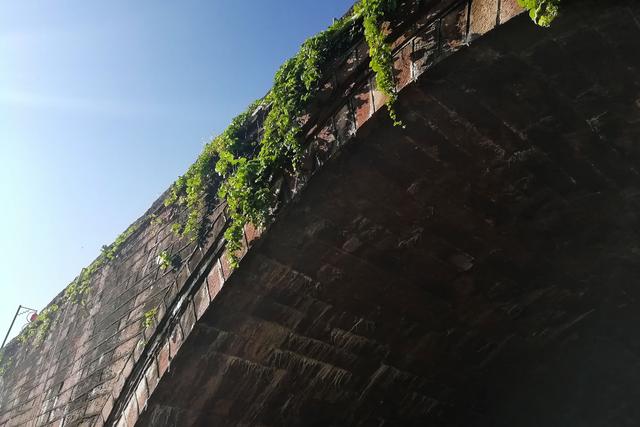 云南禄丰十大恐龙之乡,禄丰恐龙谷恐龙大遗址