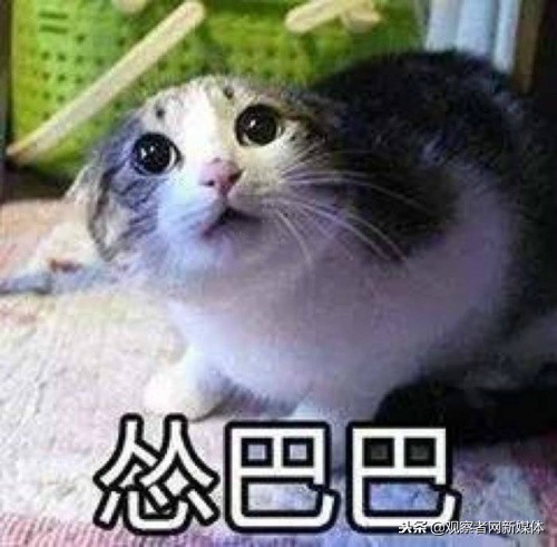 这两个字我居然有点认不出，这么多年语文白学了