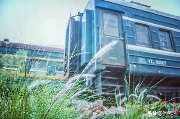 深圳大鹏自驾游十大免费景点推荐,深圳十大免费景点有哪些