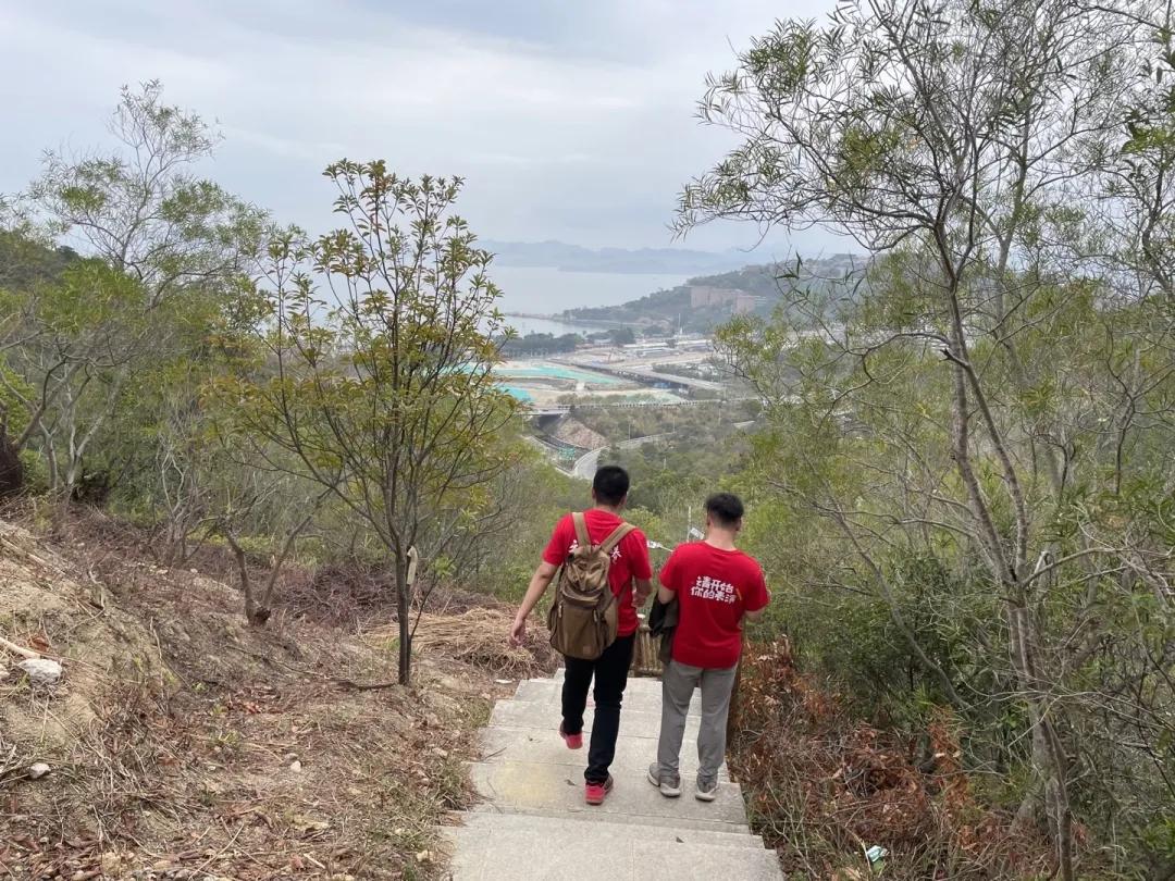 不负人间好春光完整版,不负人间好春光