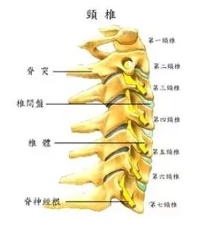 痛、痛、痛，冬季颈部受凉导致疼痛应该怎么办？
