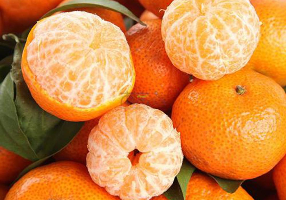 沙糖桔种植后施肥方法,沙糖桔全年的管理技术