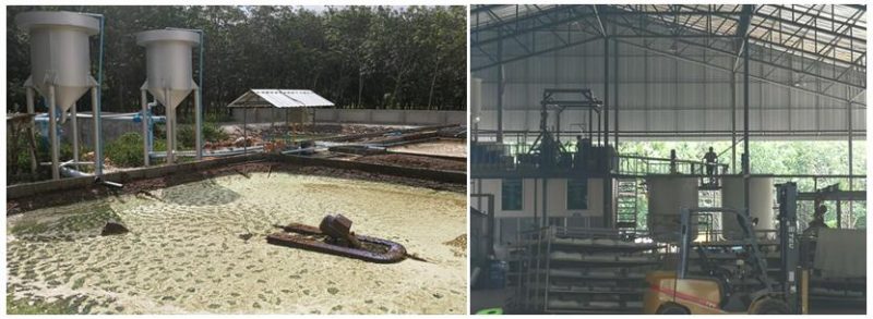 泰国当地乳胶床垫排名,泰国哪里有大量的乳胶床垫