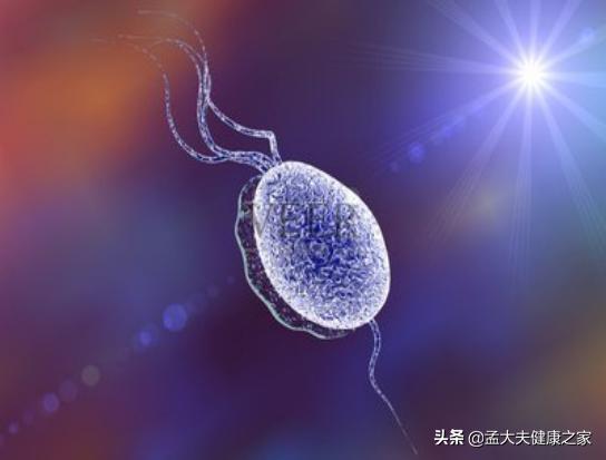 甲硝唑几块钱竟能摆平4种疾病,甲硝唑是什么特效药