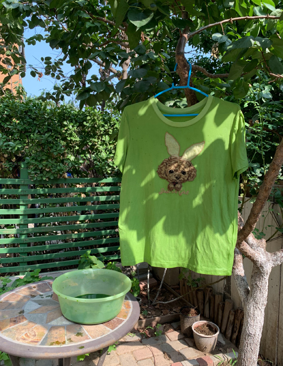 用丝瓜叶子把白T染成最近流行的牛油果绿