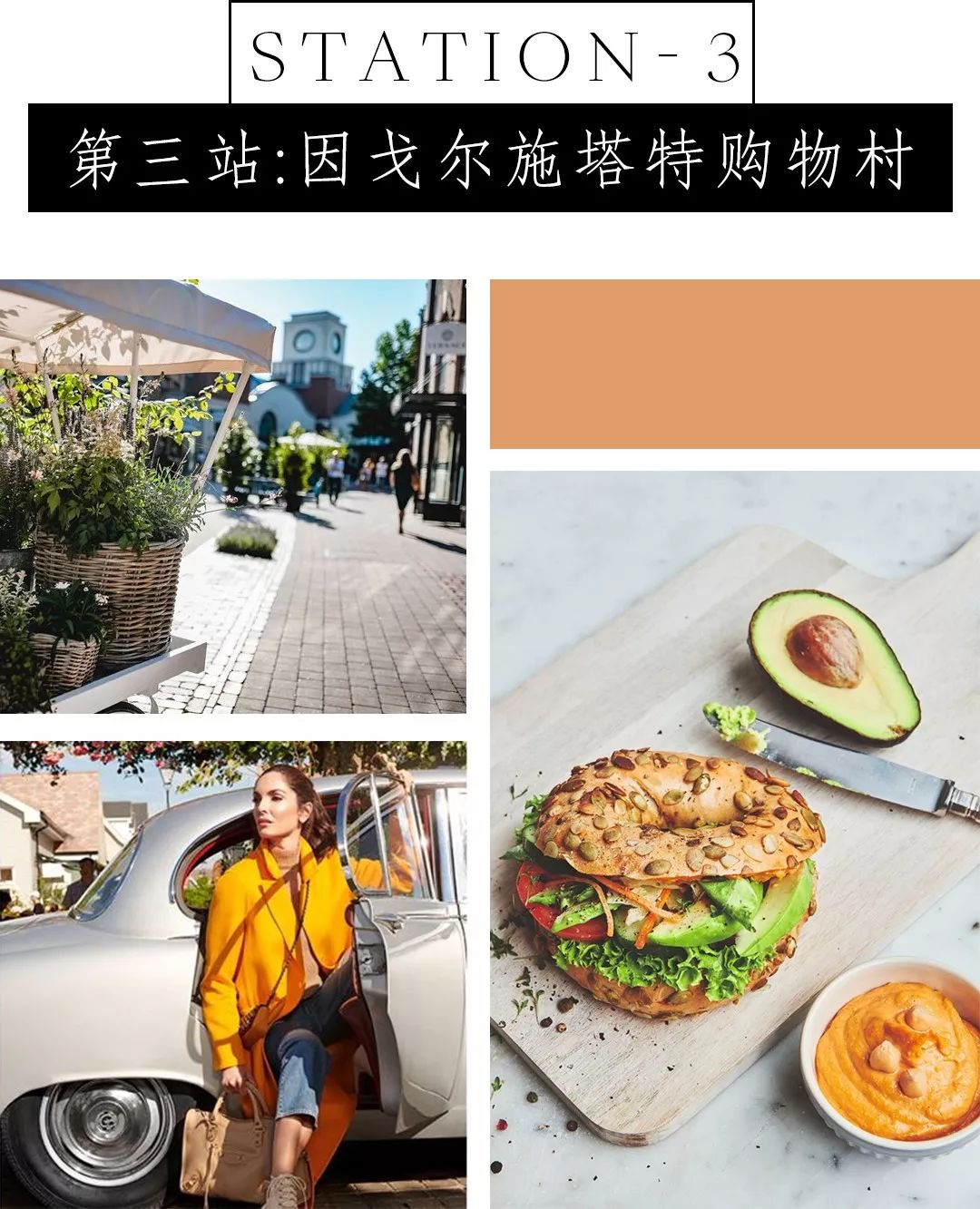 因戈尔施塔特购物村攻略,最后的疯狂全文免费阅读