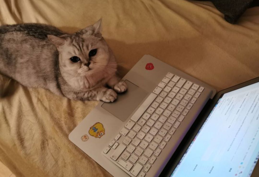 疫情之下生意惨淡门店居然加租金,疫情之下餐饮店实体店一片惨淡