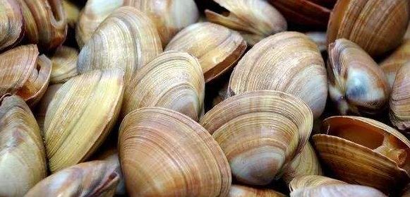 蒜蓉花甲粉丝锡纸做法,锡纸花甲粉蒜蓉酱的制作