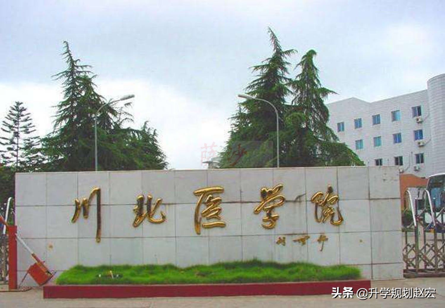 2023年川北医学院临床最低多少分,川北医学院高考喜报