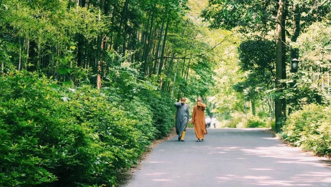 杭州西湖美景跟古诗里的一样迷人,杭州灵隐寺烟雨江南