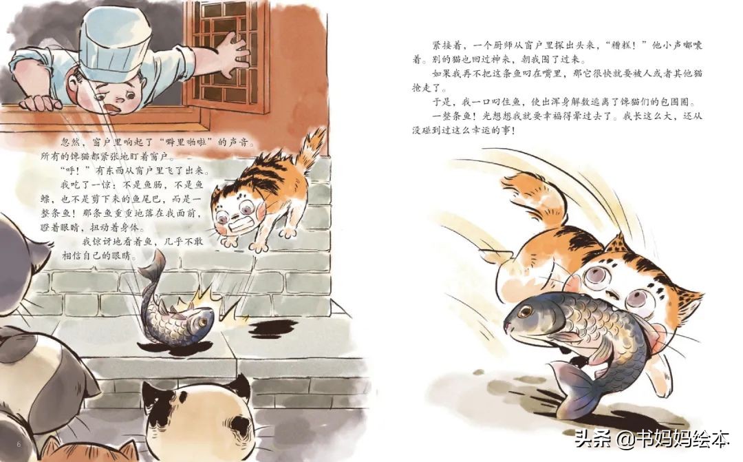 故宫御猫夜游记原创,北京故宫御猫夜游记