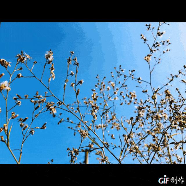 告诉给你听！爱上眉山东马的四个理由！