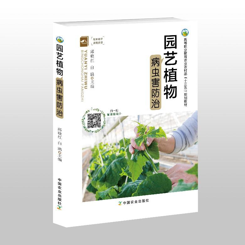 君子兰起烂斑怎么治,君子兰长铁锈斑病六月份能换土吗