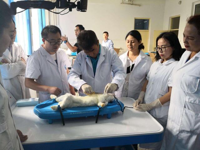 未来学医学什么专业最有前途,如果想学医学什么专业前景好