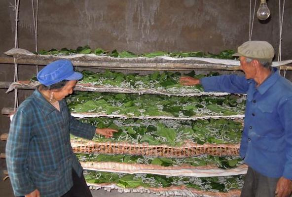 农民养蚕秘方,农户养蚕的方法和步骤图