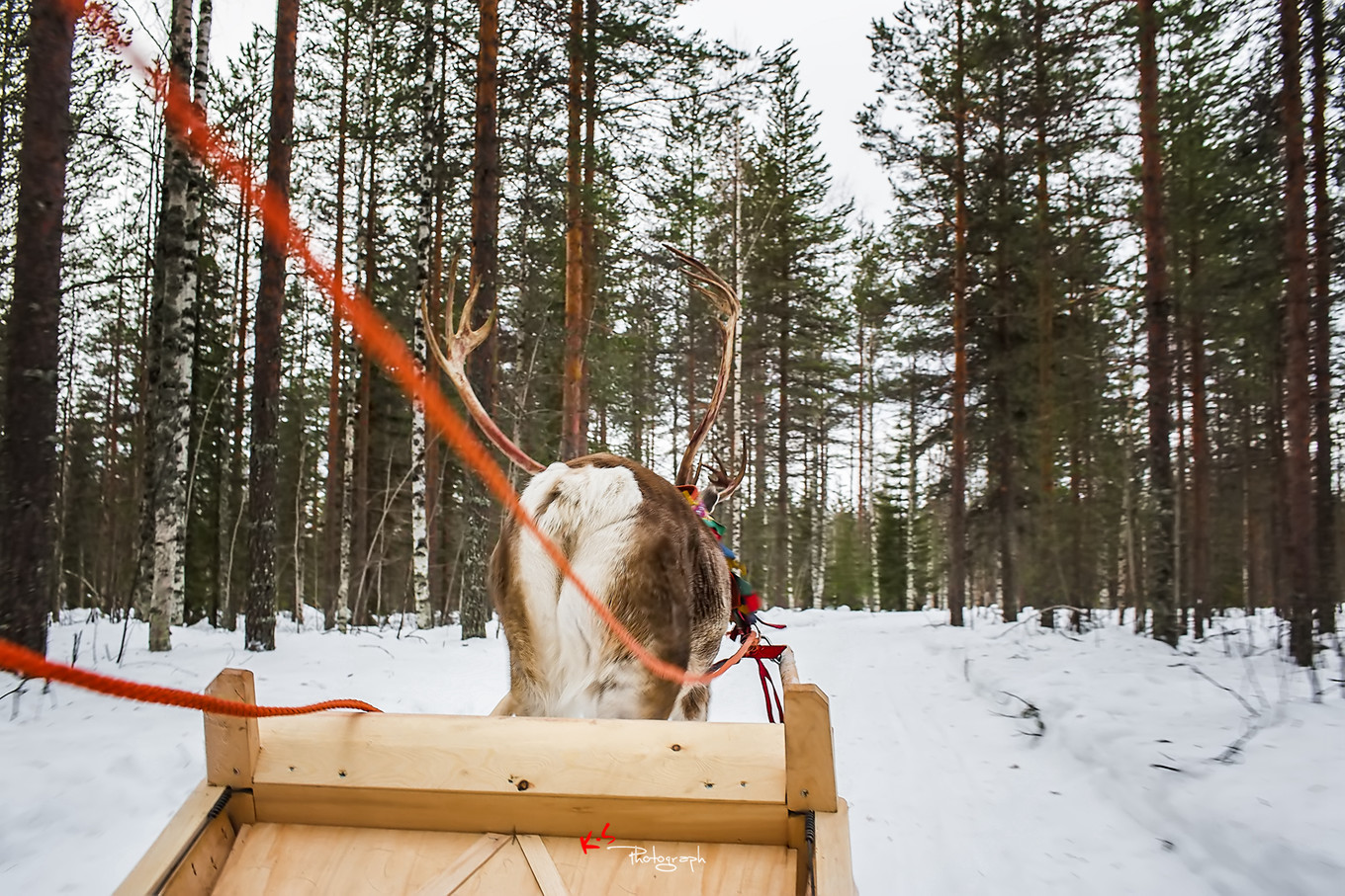 果小姐的日常,果小姐的慢生活