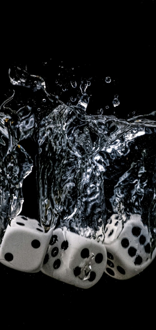 爱丽丝梦游仙境壁纸樱花校园,手机壁纸樱花