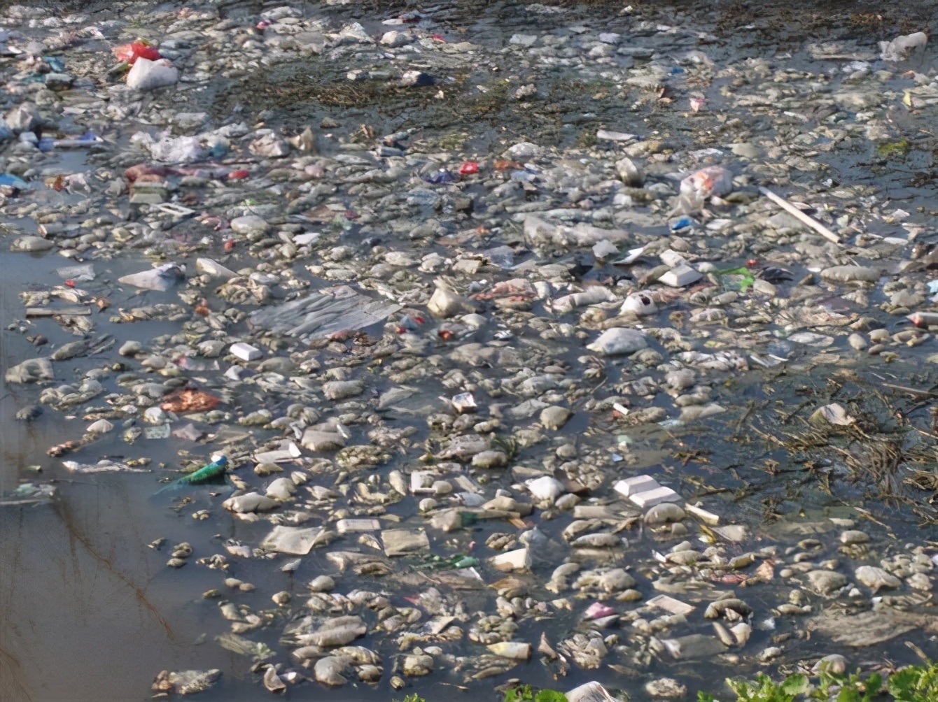 忽悠人的净水器骗局大揭秘,小区的净水器骗局揭秘