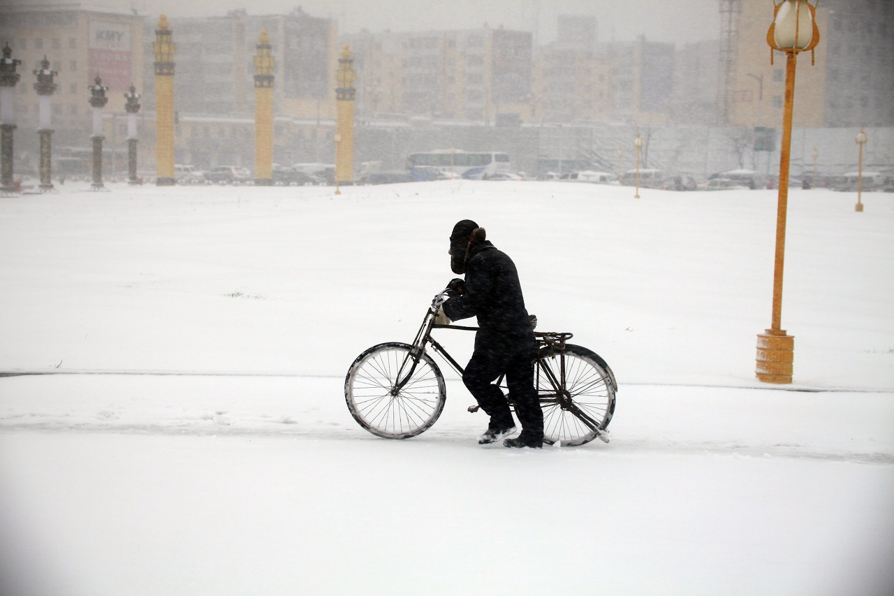 大白菜气温多少度会受冻害,河北廊坊大白菜冻害