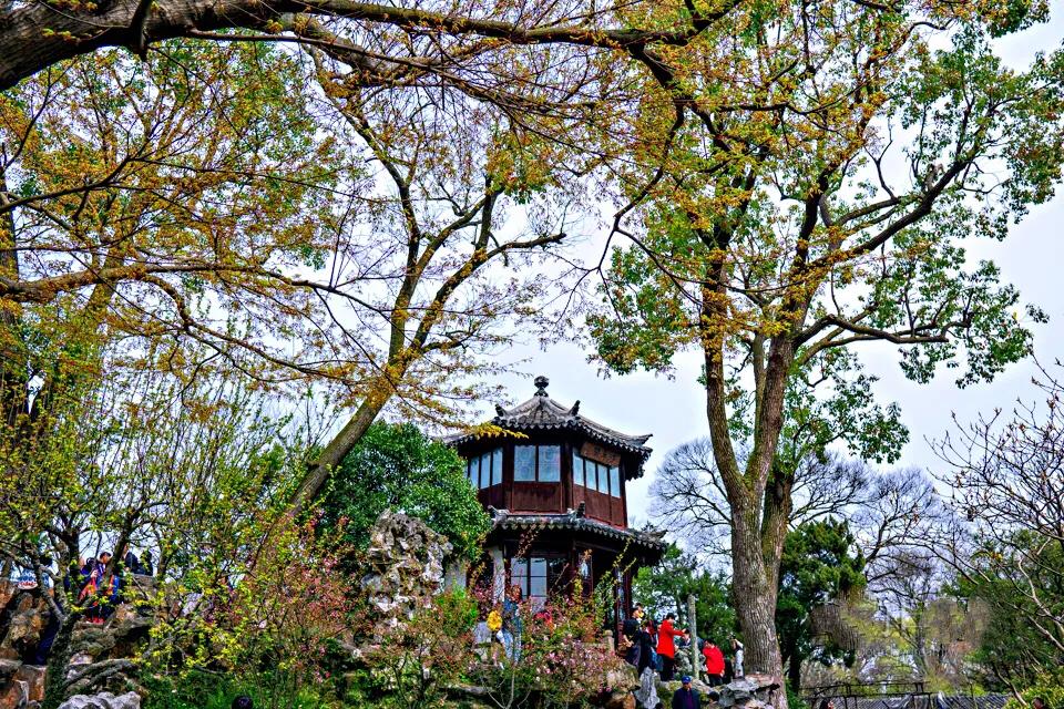 苏州园林四大名园之首,苏州园林拙政园景点介绍