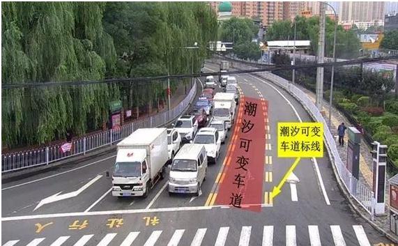 交警提醒这5种标线请铭记于心,马路上这几种标线代表啥意思