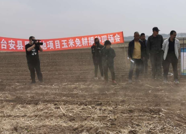 辽宁省鞍山台安县,鞍山台安好吗