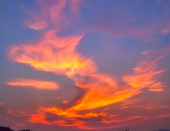 杨文说八字合婚,杨文八字知识大全