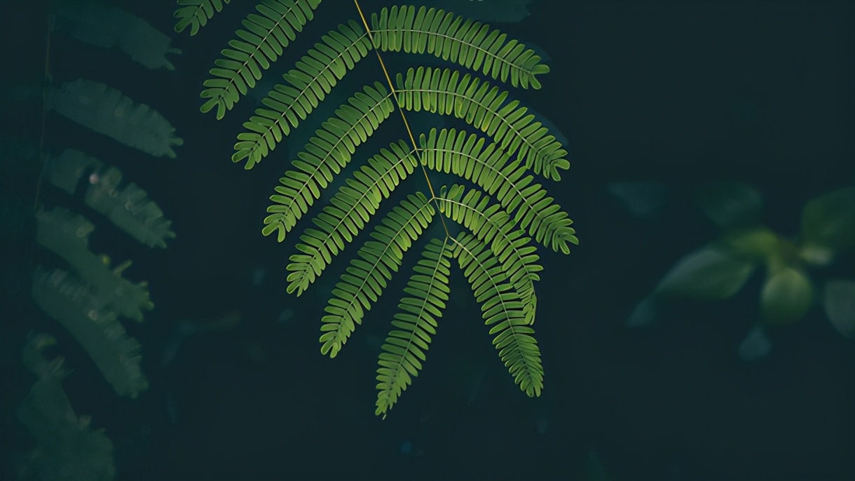 楚辞里儒雅大气的三字女孩名字,楚辞女孩名字大气文雅