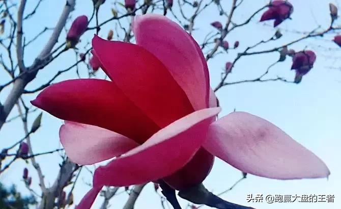 变盘时间窗口推算,时间窗口变盘方法图解