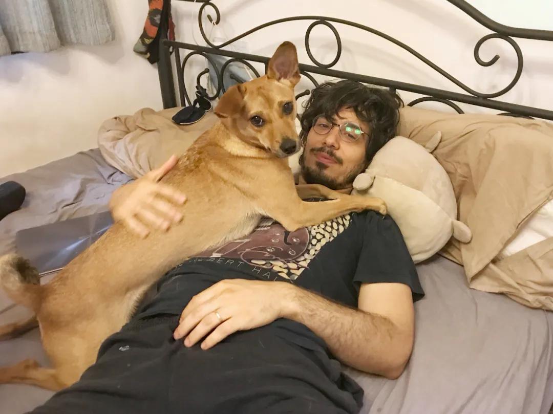 养猫人哭了 (朝九晚五适合养猫吗)