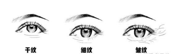 轻松搞定脸上的干纹细纹,脸上干纹细纹比较多怎么办